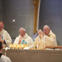 2018 La Crosse Diocese Ordination 0240 • <a style="font-size:0.8em;" href="http://www.flickr.com/photos/142603981@N05/43155997611/" target="_blank">View on Flickr</a>