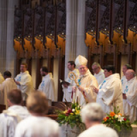 2020 La Crosse Diocese Priest Ordination 6 • <a style="font-size:0.8em;" href="http://www.flickr.com/photos/142603981@N05/50052667212/" target="_blank">View on Flickr</a>