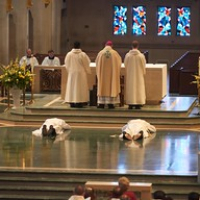 2018 La Crosse Diocese Ordination 0122 • <a style="font-size:0.8em;" href="http://www.flickr.com/photos/142603981@N05/29285089878/" target="_blank">View on Flickr</a>
