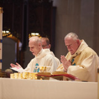 2019 May La Crosse Diocese Ordination 0302 • <a style="font-size:0.8em;" href="http://www.flickr.com/photos/142603981@N05/33912517718/" target="_blank">View on Flickr</a>