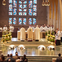 2019 May La Crosse Diocese Ordination 0166 • <a style="font-size:0.8em;" href="http://www.flickr.com/photos/142603981@N05/47789460411/" target="_blank">View on Flickr</a>