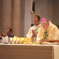 2019 La Crosse Diocese Ordination 0338 • <a style="font-size:0.8em;" href="http://www.flickr.com/photos/142603981@N05/48132222471/" target="_blank">View on Flickr</a>