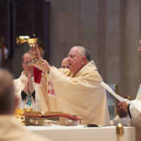 2019 La Crosse Diocese Ordination 0374 • <a style="font-size:0.8em;" href="http://www.flickr.com/photos/142603981@N05/48132252958/" target="_blank">View on Flickr</a>