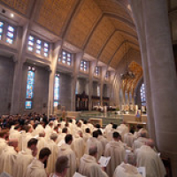 2019 La Crosse Diocese Ordination 0229 • <a style="font-size:0.8em;" href="http://www.flickr.com/photos/142603981@N05/48132314742/" target="_blank">View on Flickr</a>