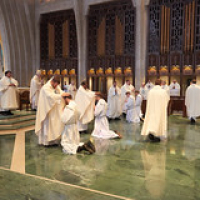 2020 La Crosse Diocese Priest Ordination 50 • <a style="font-size:0.8em;" href="http://www.flickr.com/photos/142603981@N05/50052426716/" target="_blank">View on Flickr</a>